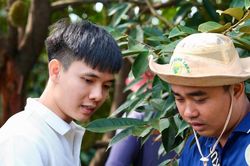 Cấp mã số vùng trồng chỉ còn 3-10 ngày, nông sản Việt thêm lợi thế xuất khẩu
