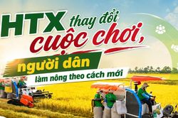 HTX thay đổi cuộc chơi, người dân làm nông theo cách mới