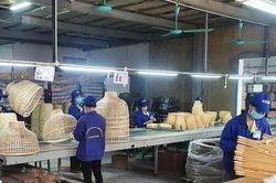 Ưu đãi thuế phải khuyến khích doanh nghiệp mở rộng quy mô