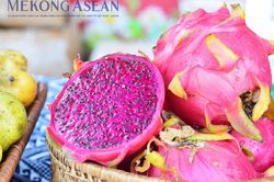 Xuất khẩu n&ocirc;ng l&acirc;m thủy sản vượt 42 tỷ USD, đạt 58% kế hoạch năm