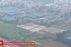 Hà Nội chỉ đạo 'nóng' vụ hàng trăm nhà xưởng trái phép trên đất nông nghiệp