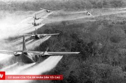 Khi thời gian không thể xóa nhòa nỗi đau da camBài 1: Màu xanh tái sinh nhưng vết thương chưa lành
