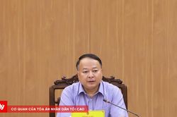 Tuyên Quang đẩy nhanh xử lý nhà, đất dôi dư và sắp xếp bộ máy
