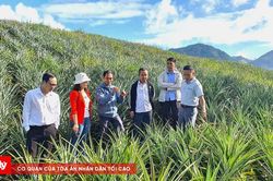 Điện Biên phân công Ủy viên Ban Thường vụ theo dõi, đôn đốc các ngành kinh tế trọng điểm