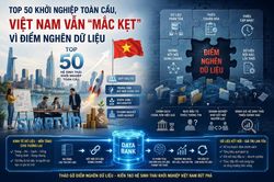 Top 50 khởi nghiệp toàn cầu: Việt Nam vẫn 'mắc kẹt' vì điểm nghẽn dữ liệu