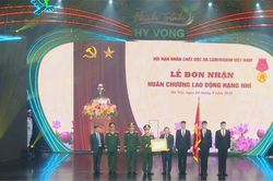 Tập trung nguồn lực, chăm lo cho nạn nh&acirc;n chất độc da cam