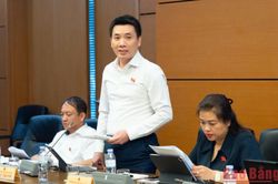 Đoàn ĐBQH tỉnh góp ý hoàn thiện cơ chế đặc thù phục vụ APEC 2027