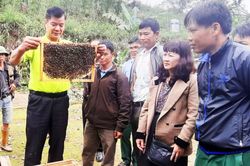 Góp phần phát triển kinh tế xanh, kinh tế tuần hoàn gắn với bảo vệ môi trường