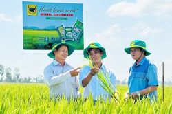 Đất khỏe, c&acirc;y khỏe, người n&ocirc;ng d&acirc;n th&ecirc;m niềm tin