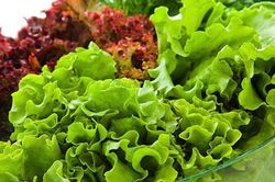 Loại rau quen thuộc thường xuất hiện trong mâm cơm Việt, tốt cho sức khỏe nhưng không phải ai cũng nên ăn