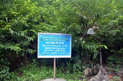 Gỡ vướng cấp mã số vùng trồng, cơ sở đóng gói