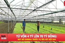 Quy mô doanh nghiệp sản xuất bột rau bị tiêu hủy gây chú ý