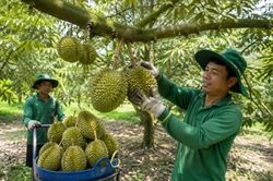 Trung Quốc công nhận thêm 18 phòng xét nghiệm Cadimi và Vàng O của Việt Nam