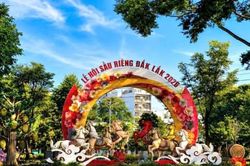 Đắk Lắk rà soát đẩy nhanh tiến độ chuẩn bị các nhiệm vụ cho Lễ hội Sầu riêng năm 2026