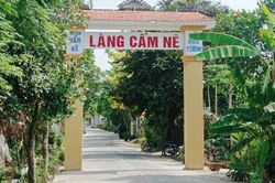 Làng chiếu Cẩm Nê (Đà Nẵng) - Gìn giữ hồn quê trong từng sợi cói
