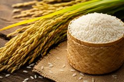 Giá lúa gạo hôm nay 4/8: Trong nước ổn định, xuất khẩu tăng nhẹ