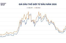 Gi&aacute; dầu giảm mạnh, MXV-Index giảm ba phi&ecirc;n li&ecirc;n tiếp