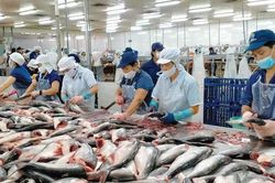 Vượt r&agrave;o cản, n&ocirc;ng sản hướng tới mốc 74 tỷ USD