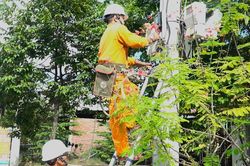 Lịch cúp điện Vĩnh Long (Bến Tre cũ) từ ngày 4 - 9/8/2026: Rất nhiều khu dân cư sẽ bị mất điện 10 tiếng/ngày