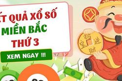 Kết quả xổ số - KQXS hôm nay thứ Ba ngày 4/8/2026