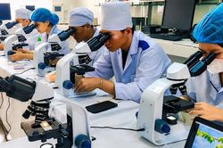 Sắp xếp tinh gọn cơ sở đào tạo y tế phải lấy an toàn người bệnh làm thước đo