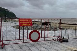 21 tỉnh thành chủ động ứng phó với áp thấp nhiệt đới trên Biển Đông
