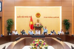 Tán thành trình Quốc hội thành lập TP Quảng Ninh và TP Bắc Ninh, cơ bản giữ nguyên tổ chức bộ máy
