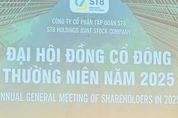 Tập đo&agrave;n ST8 bị xử phạt v&igrave; b&aacute;o lỗ th&agrave;nh l&atilde;i