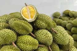 Xuất khẩu rau quả 7 tháng đem về gần 5 tỷ USD
