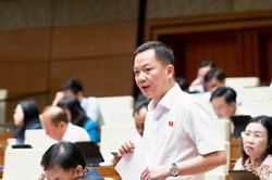 Đại biểu Quốc hội đề xuất nghi&ecirc;n cứu bổ sung hoạt động kinh doanh kim cương, v&agrave;ng v&agrave;o diện quản l&yacute;