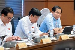 Sửa đổi Luật Xuất bản: Đề nghị tăng chế tài xử lý vi phạm bản quyền bằng AI