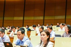 Bảo đảm minh bạch, thống nhất trong cắt giảm ngành, nghề kinh doanh có điều kiện