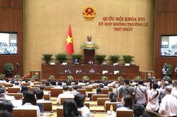 [VIDEO] Rà soát ngành, nghề đầu tư kinh doanh có điều kiện theo tiêu chí thống nhất