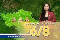 [Video] Dự b&aacute;o thời tiết đ&ecirc;m nay v&agrave; ng&agrave;y mai ng&agrave;y 6/8/2026: Bắc Bộ v&agrave; Bắc Trung Bộ tiếp tục mưa lớn, b&atilde;o số 3 kh&ocirc;ng ảnh hưởng trực tiếp đến đất liền