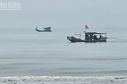 Thanh Hóa chủ động phòng, chống mưa, bão