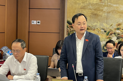 Đại biểu Quốc hội: Cần tăng cường bảo vệ lao động Việt Nam làm việc ở nước ngoài