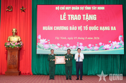 Tây Ninh phấn đấu đến tháng 7-2027 tìm kiếm, quy tập khoảng 600 hài cốt liệt sĩ