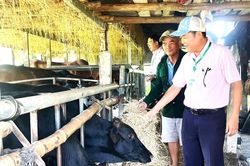 'ĐIỂM TỰA' CHO KINH TẾ NÔNG THÔN