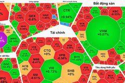 Thị trường nghiêng về sắc đỏ, PNJ nối dài chuỗi tăng trần