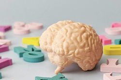 Nói nhiều ngôn ngữ giúp làm chậm quá trình lão hóa não bộ