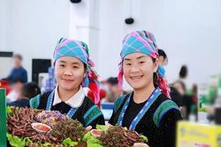 Khởi nghiệp từ chiếc điện thoại cũ, Vừ Thị Xia - Vừ Chứ tạo nguồn thu ổn định