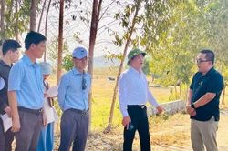 Gia Lai đón dự án chăn nuôi heo công nghệ cao quy mô 3.100 tỷ đồng