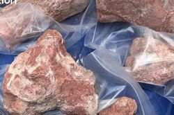 Phát hiện hóa thạch khủng long ăn thịt 130 triệu năm tuổi tại Thái Lan