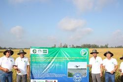 Hiệu quả từ các mô hình sản xuất lúa chất lượng cao, phát thải thấp ở Cần Thơ