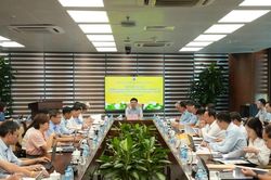Rà soát phương án khai thác, hoàn thiện cơ sở điều chỉnh Dự án mở rộng mỏ than Cao Sơn