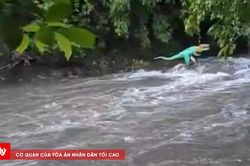 Làm rõ vụ nước suối đổi màu, bốc mùi hôi tanh