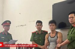 Bắt giữ đối tượng cướp giật điện thoại sau 3 giờ gây án