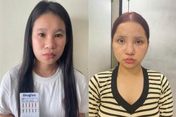 Bắt khẩn cấp 2 đối tượng tổ chức sử dụng ma túy tại căn hộ chung cư ở Bãi Cháy