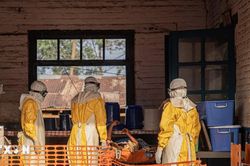 WHO ghi nhận tín hiệu tích cực từ thử nghiệm điều trị Ebola tại Congo