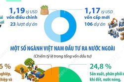 Đầu tư của Việt Nam ra nước ngoài trong 7 tháng đạt 2,36 tỷ USD